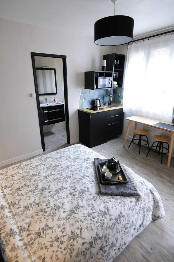 Le Nid Bord De La Loire Appartement Orléans Buitenkant foto